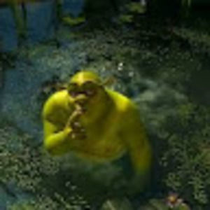 Meet your Posher, Chlo5760